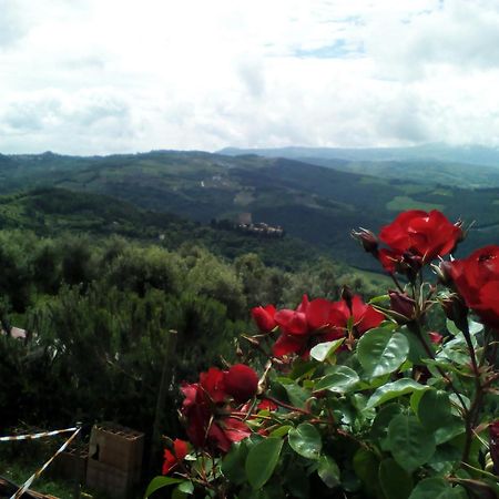 Poggio Al Vento Vendégház Castiglione dʼOrcia Kültér fotó