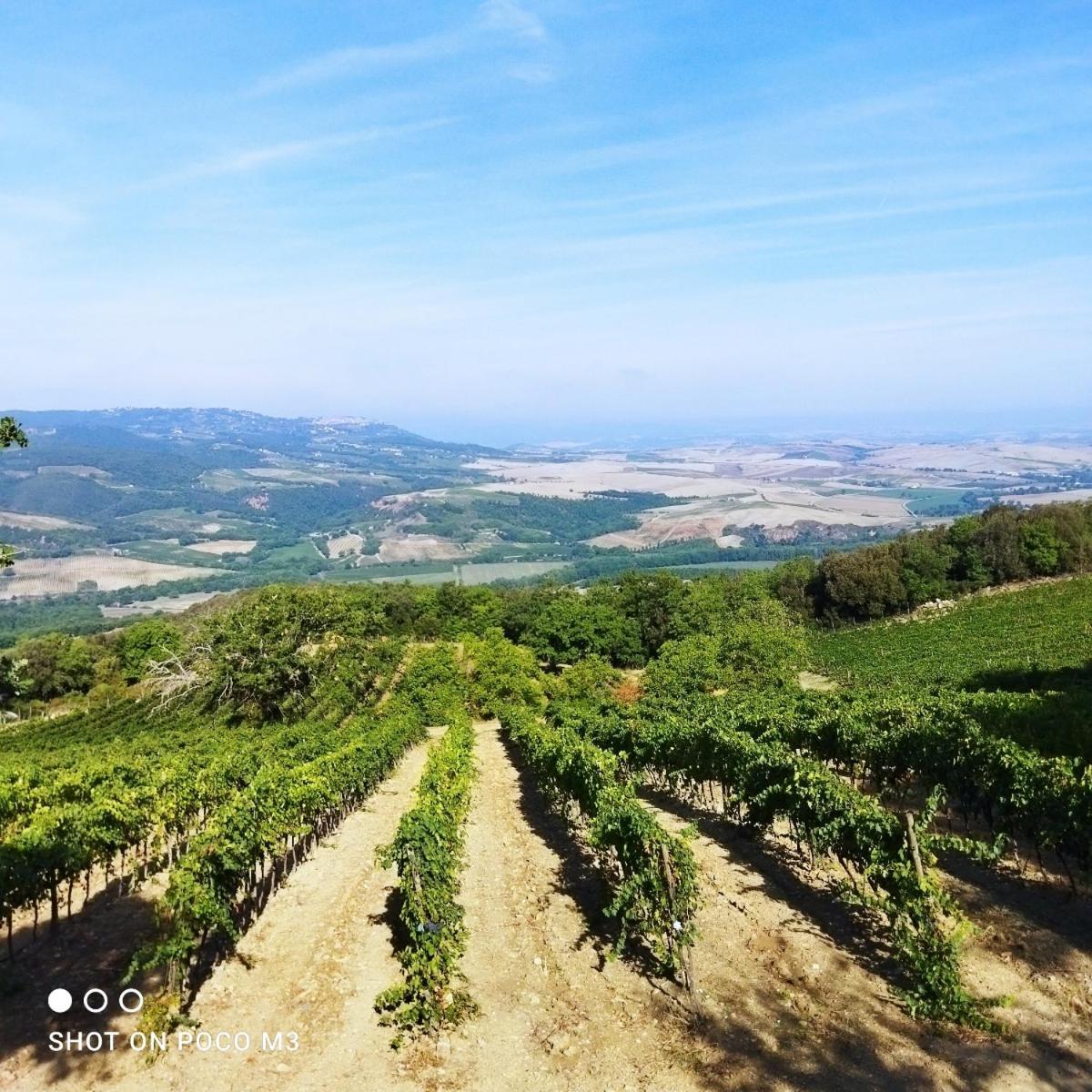 Poggio Al Vento Vendégház Castiglione dʼOrcia Kültér fotó