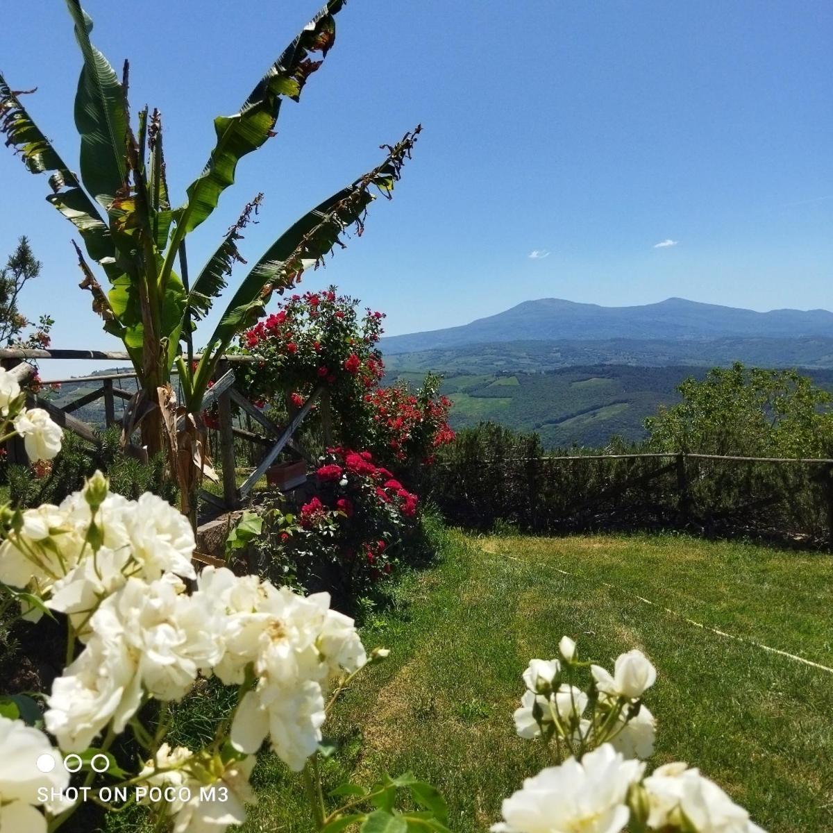 Poggio Al Vento Vendégház Castiglione dʼOrcia Kültér fotó
