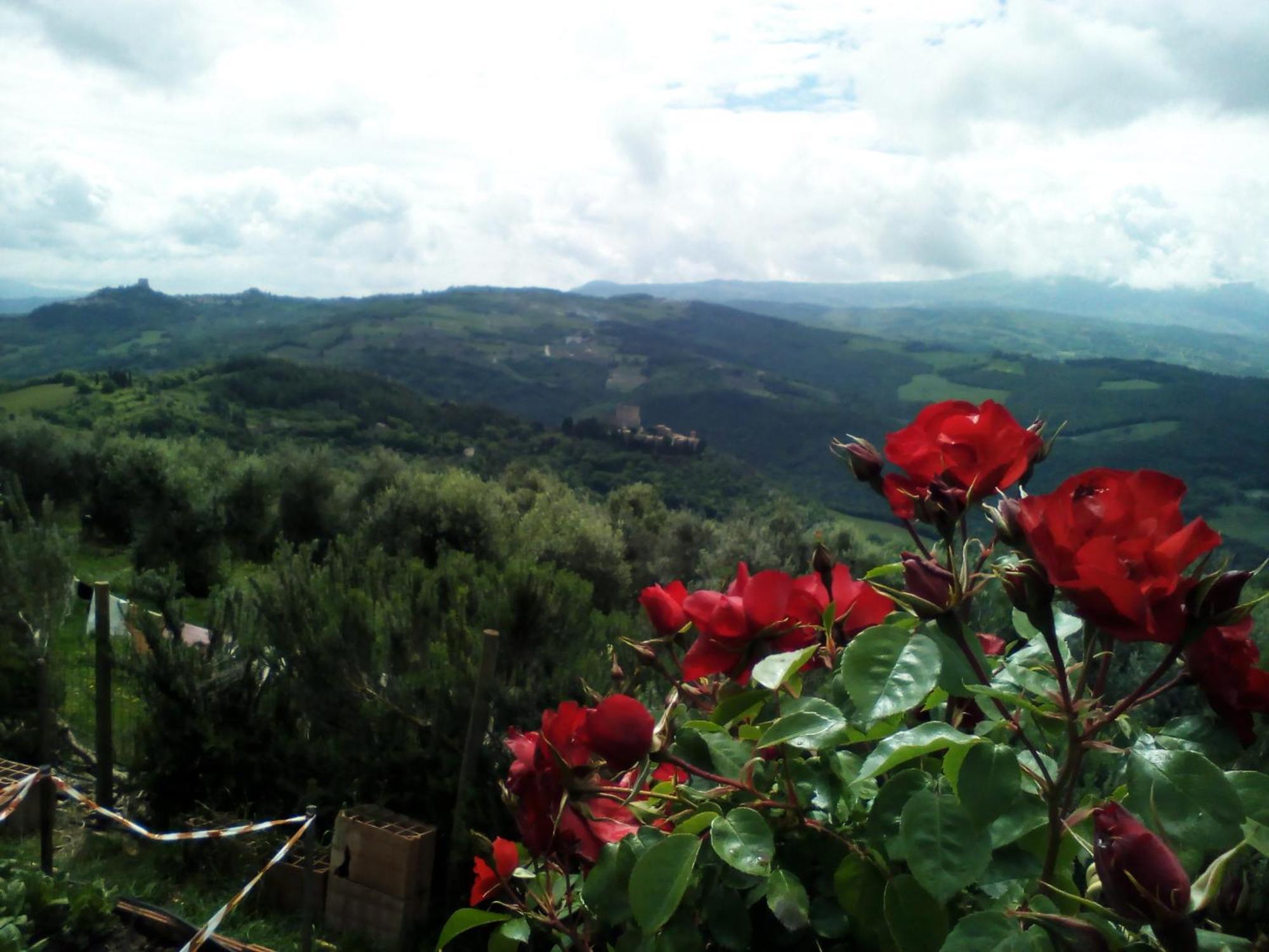 Poggio Al Vento Vendégház Castiglione dʼOrcia Kültér fotó